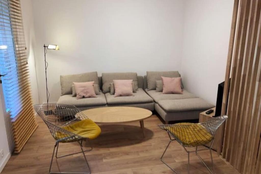 Aux Marches Du Palais - Ac Clim - Spacieux - Terrasse - Wifi Avignon Ngoại thất bức ảnh