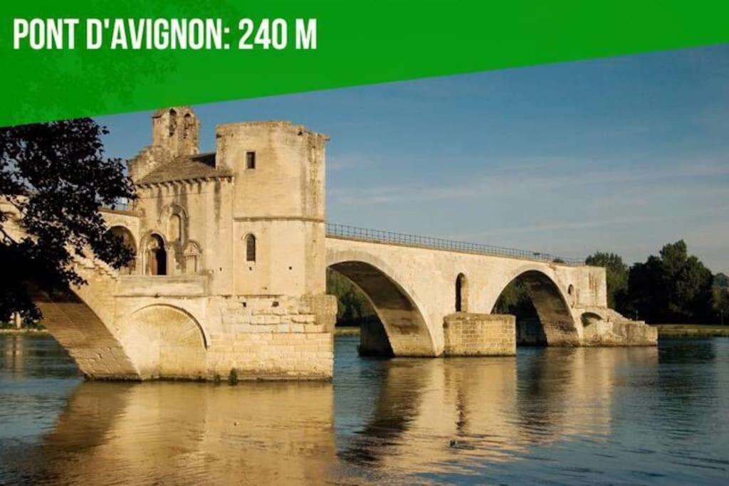 Aux Marches Du Palais - Ac Clim - Spacieux - Terrasse - Wifi Avignon Ngoại thất bức ảnh