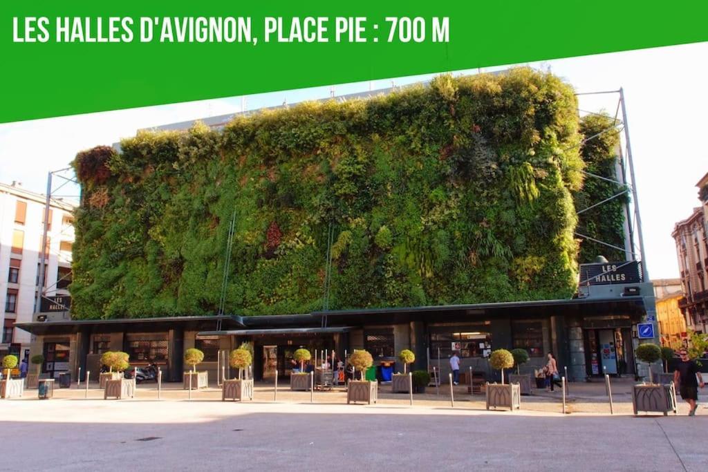 Aux Marches Du Palais - Ac Clim - Spacieux - Terrasse - Wifi Avignon Ngoại thất bức ảnh