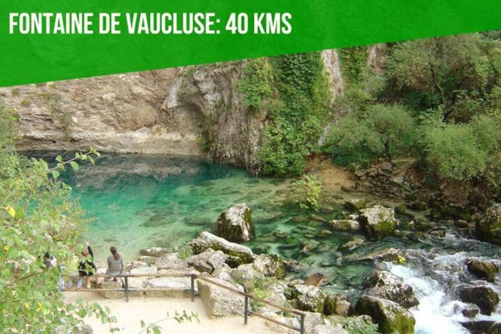 Aux Marches Du Palais - Ac Clim - Spacieux - Terrasse - Wifi Avignon Ngoại thất bức ảnh