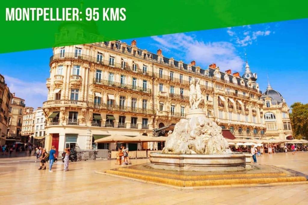 Aux Marches Du Palais - Ac Clim - Spacieux - Terrasse - Wifi Avignon Ngoại thất bức ảnh